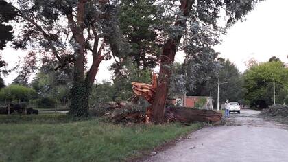 Una de las postales de la cola del tornado