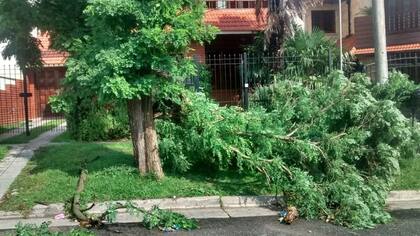 Una de las postales de la cola del tornado