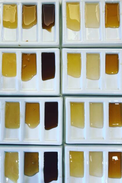 Una de las preocupaciones de Gibson es la falsificación de miel