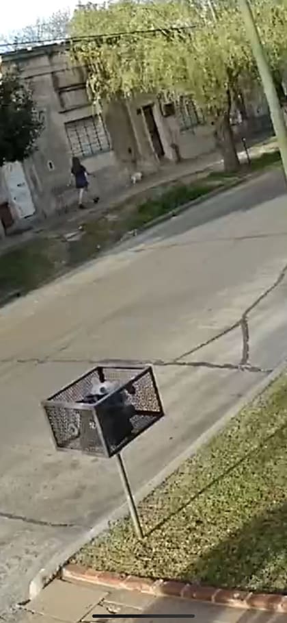 Una de las últimas imágenes de la víctima antes de ser asesinada.