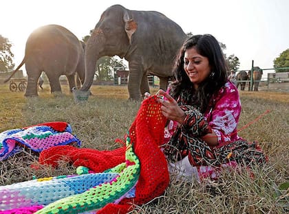 Una de las voluntarias teje un abrigo gigante para cubrir a los elefantes