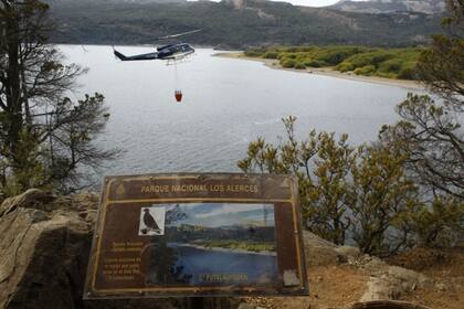 Una de las zonas más afectadas es el Parque Nacional Los Alerces