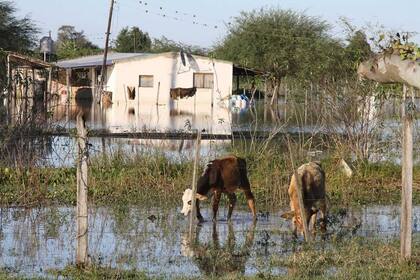 Una de las zonas rurales de Formosa anegada