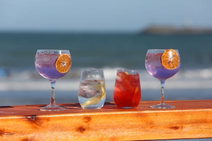 Una decena de destilerías componen hoy esta nueva ruta del gin en Mar del Plata.