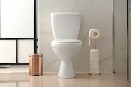 Una descarga convencional del depósito de un inodoro consume 16 litros de agua para empujar al desagüe todo lo que está en la taza; un desarrollo en China usa un material antiadherente para evitar que queden restos