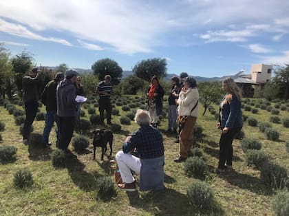 Una docena de productores integran el grupo