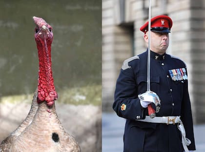 Una dupla de "Avistaje", fotolibro de Clara de Estrada