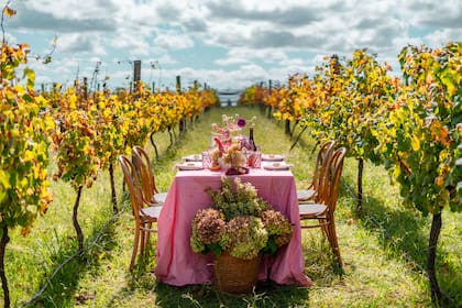 Una edición especial que celebra la diversidad del vino argentino (Gentileza: Bodega Gamboa)
