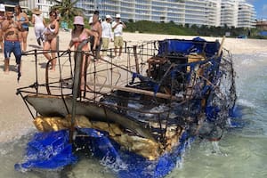 El preocupante hallazgo en las costas de Miami Beach que desconcertó a las autoridades