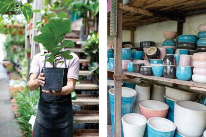 Una enorme variedad de plantas y macetas: seña particular de Marisel.