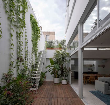 Una escalera livianísima lleva a los nuevos sectores de uso acompañada de enredaderas que van conquistando la trama de alambre.