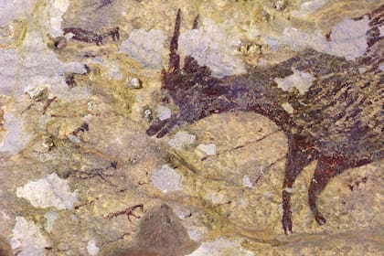 Otra imagen de la pintura rupestre descubierta en Indonesia, la más antigua obra figurativa conocida.