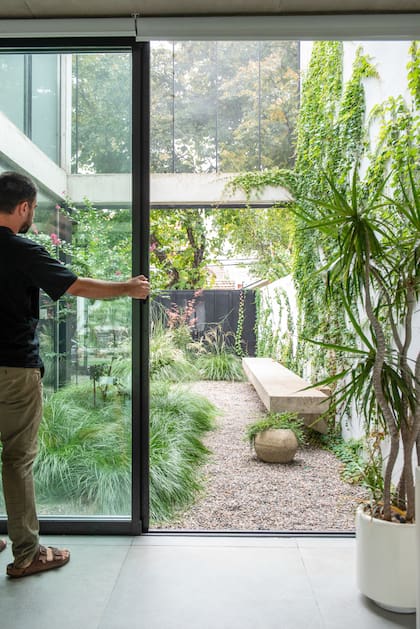 Una escena que nunca se repite: luz, clima y floraciones reescriben el paisaje todos los días
