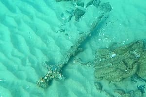 Nadaba en el Mediterráneo y se encontró con un tesoro de 800 años de antigüedad