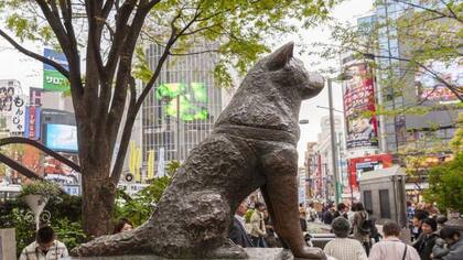 Una estatua de Hachiko se encuentra fuera de la estación de Shibuya en Tokio desde 1948