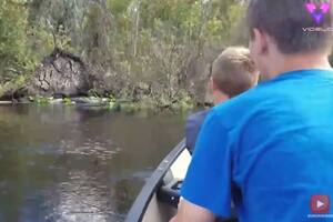 El tenso encuentro de una familia con un caimán gigante en una excursión
