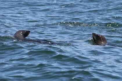 Una experiencia única