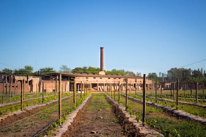 Una experiencia al aire libre para celebrar el Día del Vino Argentino