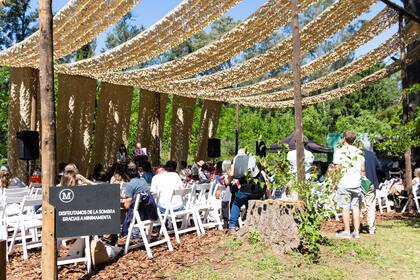 "Una experiencia similar a estar bajo la copa de un árbol".