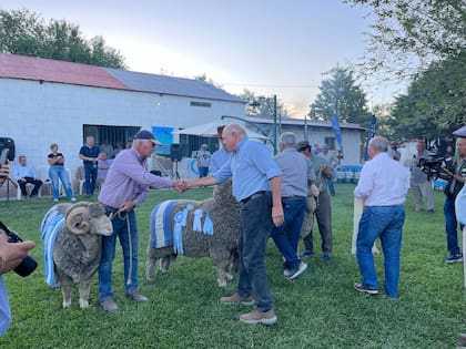 Una exposición ovina en Maquinchao, Río Negro