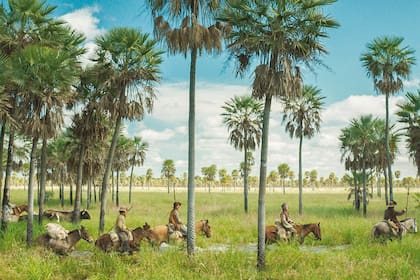 “Una extraña obra de arte”, definió The Guardian a su film Zama, elegido por ese diario como uno de los 10 mejores del siglo