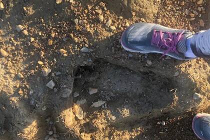 Una familia aseguró que encontró una huella "de Pie Grande" en una playa de Estados Unidos