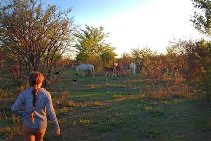 Una familia entera dedicada al cuidado de los animales