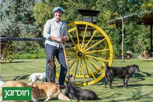 Tras vender su casa y su mítico vivero, se mudó al campo para empezar de cero