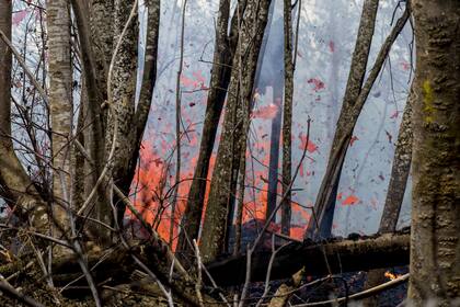 Una fisura entra en erupción en Leilani Estates, Hawai