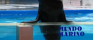 Un capitán de la Armada fue condenado por quedarse con plata del cánon de un predio que usaba Mundo Marino