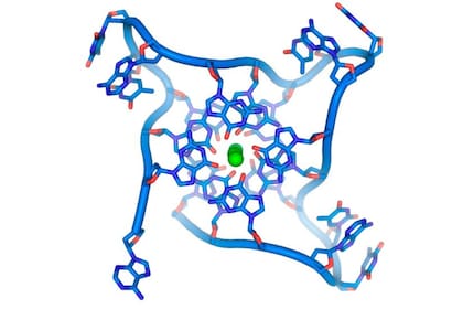 Una forma de ADN diferente tendrá un impacto enorme en todos los procesos que lo involucran