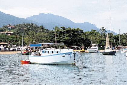 Una frondosa vegetación y aguas calmas en Ilhabela