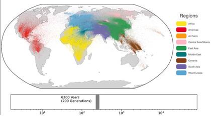 Una genealogía unificada de los genomas modernos y antiguos