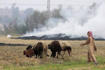 Una gran mayoría de niñas sigue siendo víctima de la ablación genital en Egipto, especialmente en las zonas rurales, a pesar de estar prohibida