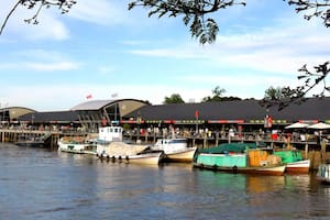 Una guía imperdible de planes diferentes para redescubrir Tigre en un fin de semana