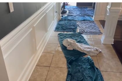 Una heladera mal instalada arruinó la casa y desató una batalla legal