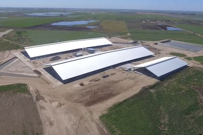 Una imagen aérea del tambo robótico más grande de la Argentina, con 96 equipos robots