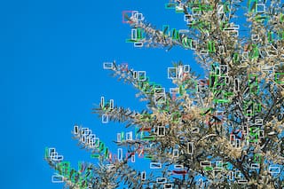Un experto del Conicet creó un robot que controla plagas con inteligencia artificial