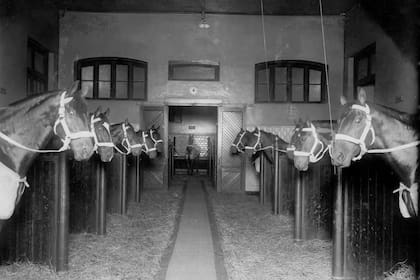 Una imagen de la caballeriza presidencial, del archivo de LA NACION