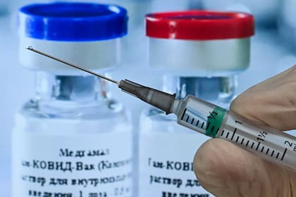 Analistas señalan que Rusia estaría utilizando la distribución de su vacuna como una herramienta política y de propaganda