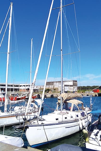 Una imagen de Lola, el velero en el que estuvieron embarcados y es el mismo con el que cruzaron el Atlántico diez meses atrás para concientizar sobre el cuidado de los mares y el medioambiente.
.
