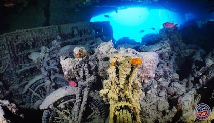 Una imagen de los restos del Thistlegorm, el carguero inglés que fue hundido por bombarderos alemanes en el Mar Rojo