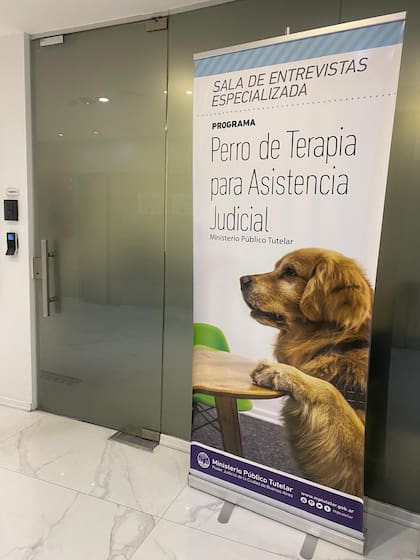 Una imagen de Titán, el primer perro del país entrenado para la asistencia judicial en el acompañamiento a niñas, niños y adolescentes víctimas de abusos