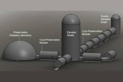 Una imagen del proyecto de la bóveda lunar propuesta por investigadores de la Universidad de Arizona para almacenar las muestras de biodiversidad de la Tierra