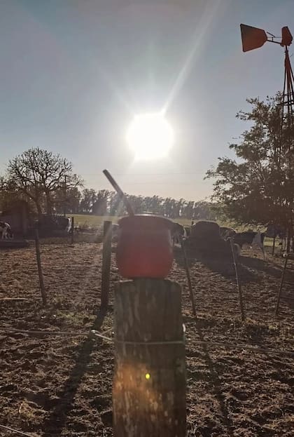 Una imagen del tambo de la familia Turecki