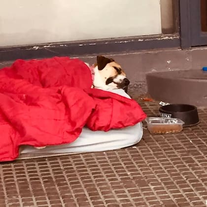 Una imagen del tiempo en que Laica vivió en situación de calle.