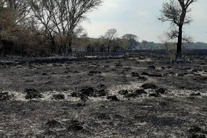 Una imagen desoladora después del paso del fuego