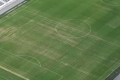 Una imagen elocuente del pasto del Monumental