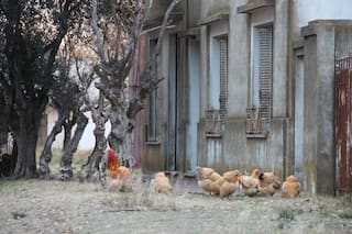 El pueblo bonaerense que “cierra” porque sus últimos dos habitantes se mudan