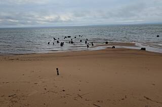 Paraguay le sacó el “tapón” al embalse de Yacyretá y casi afecta la generación eléctrica en la Argentina